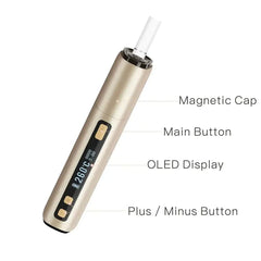 LAMBDA CC - Gold - Gold - LAMBDA CC