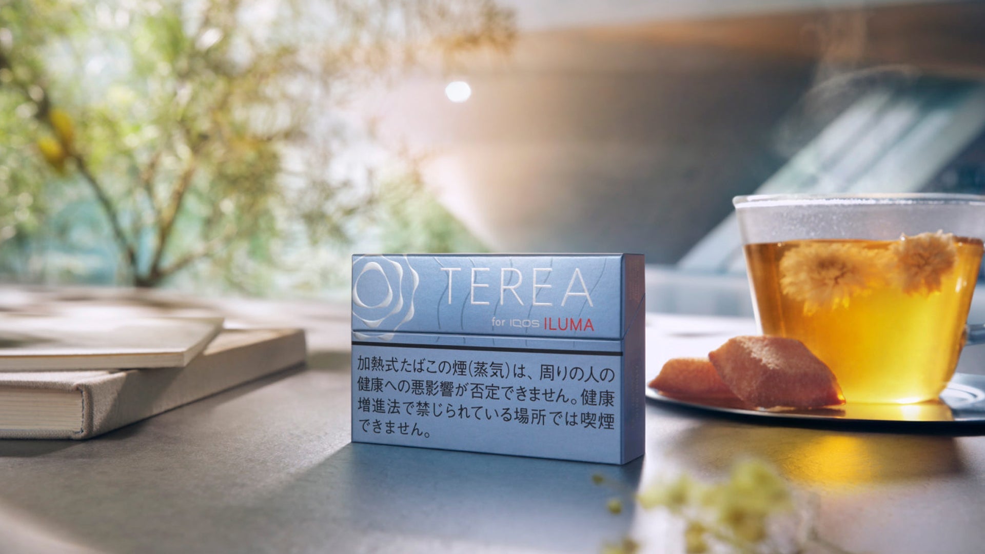 Buy TEREA Japan Flavors (Premium)