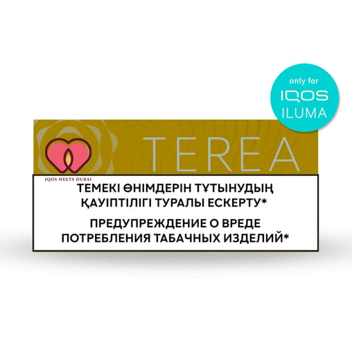 NEW ILUMA ONE IQOS KIT FOR TEREA HEETS, Dubai Vape Store